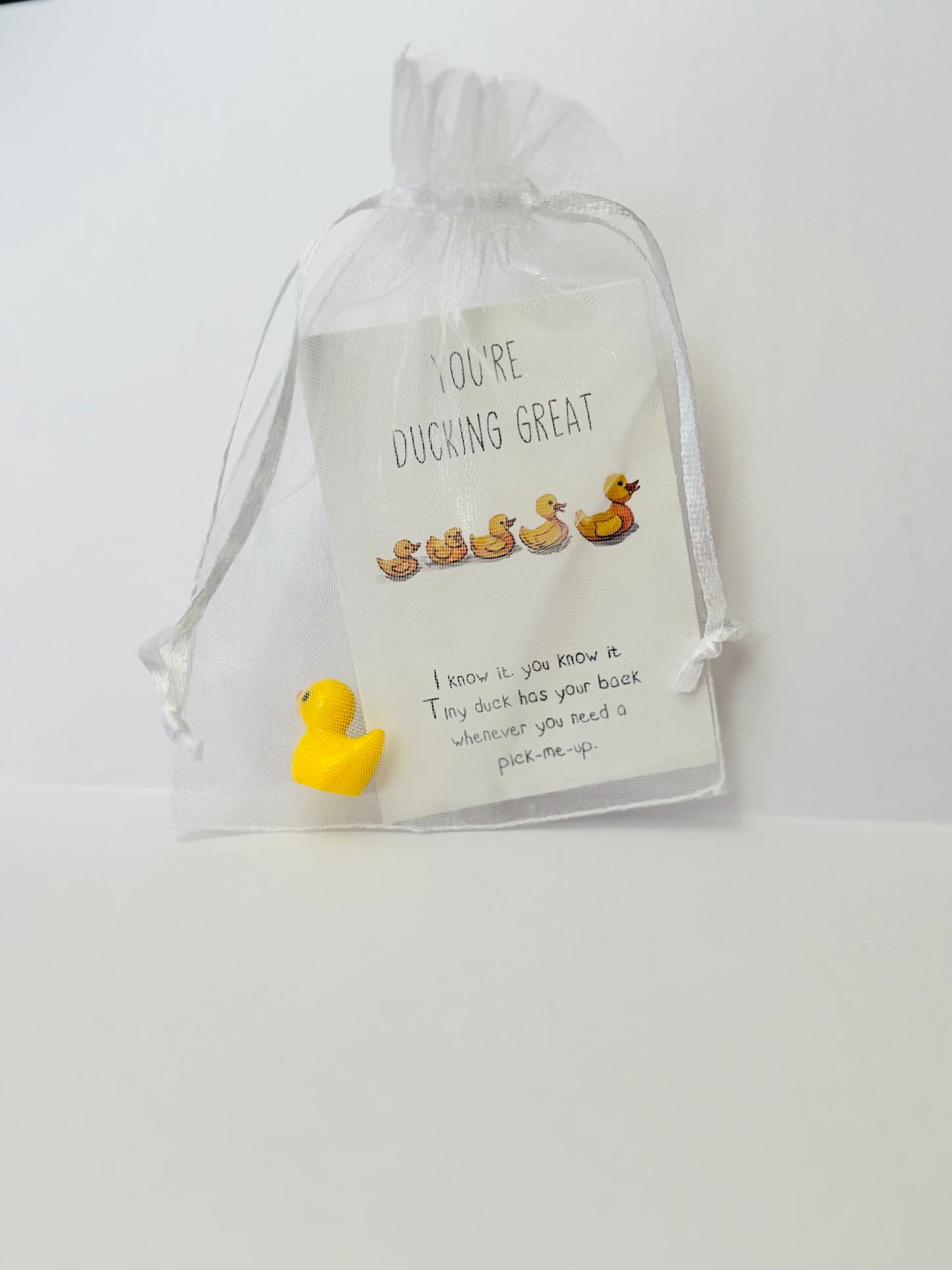 Inspirational Animal Pocket Favours — cute mini animal charms with uplifting message cards in organza bags, perfect for gifts, school rewards, or kindness tokens