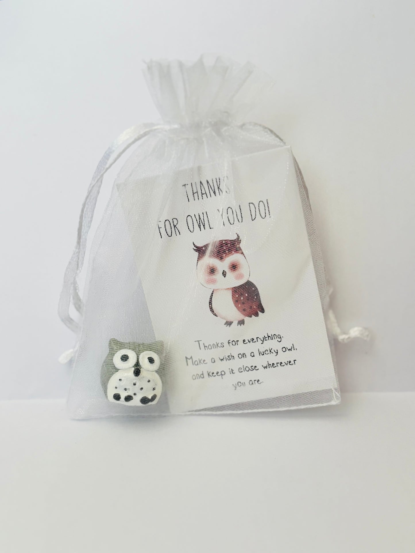 Inspirational Animal Pocket Favours — cute mini animal charms with uplifting message cards in organza bags, perfect for gifts, school rewards, or kindness tokens