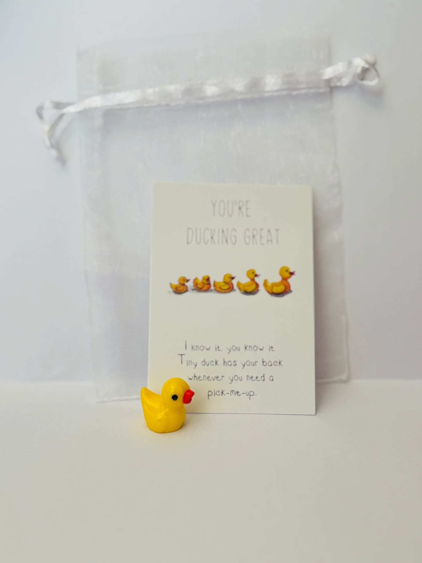 Inspirational Animal Pocket Favours — cute mini animal charms with uplifting message cards in organza bags, perfect for gifts, school rewards, or kindness tokens