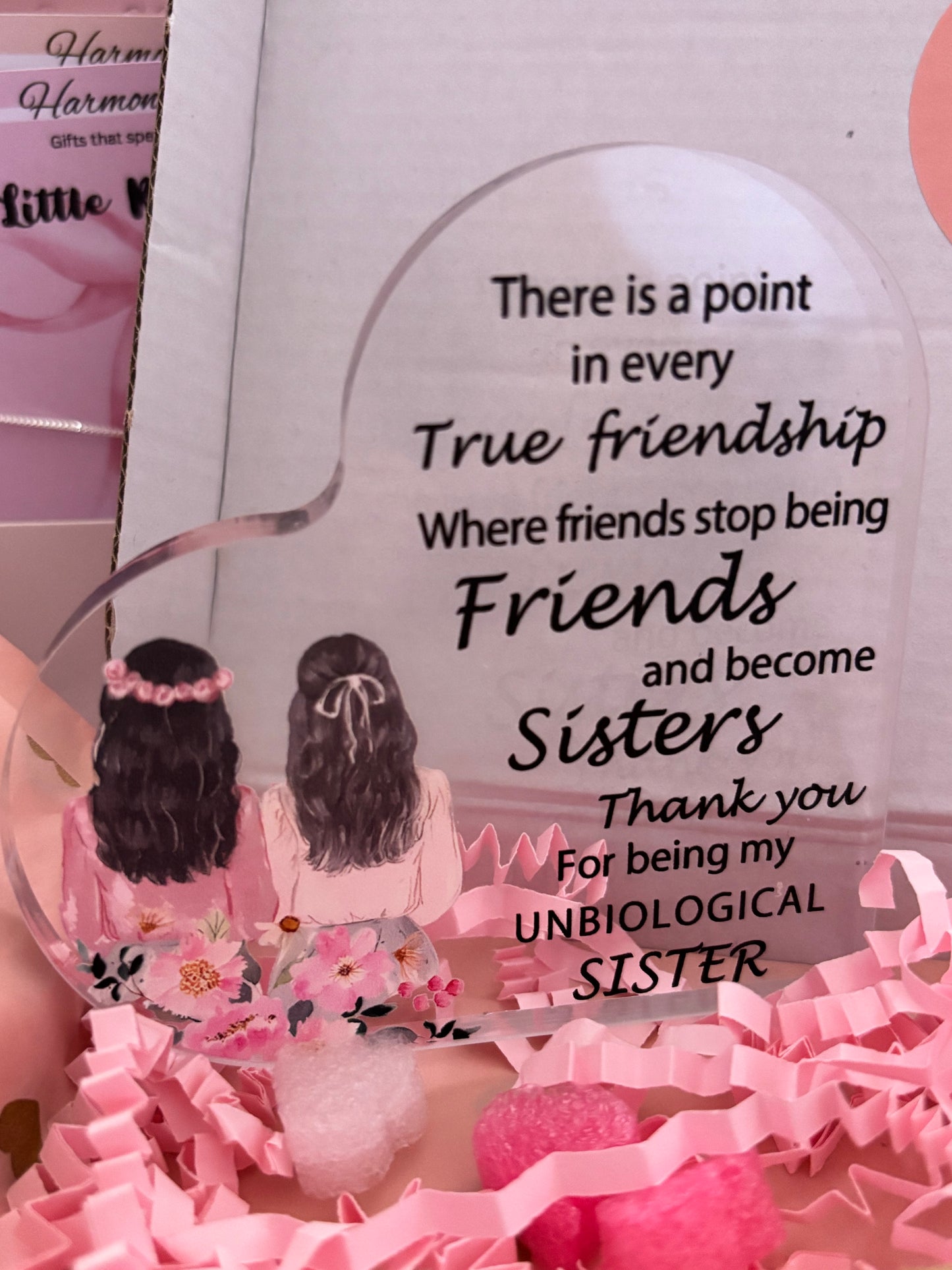 Gift box with two women and a quote about friendship and unbiological sisters on a pink background.