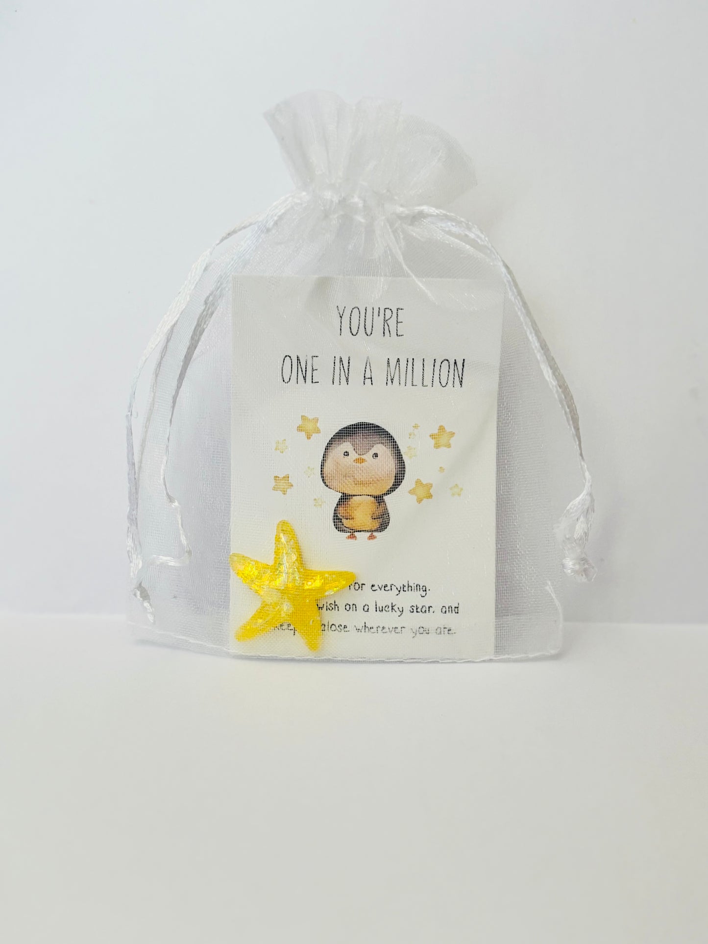 Inspirational Animal Pocket Favours — cute mini animal charms with uplifting message cards in organza bags, perfect for gifts, school rewards, or kindness tokens