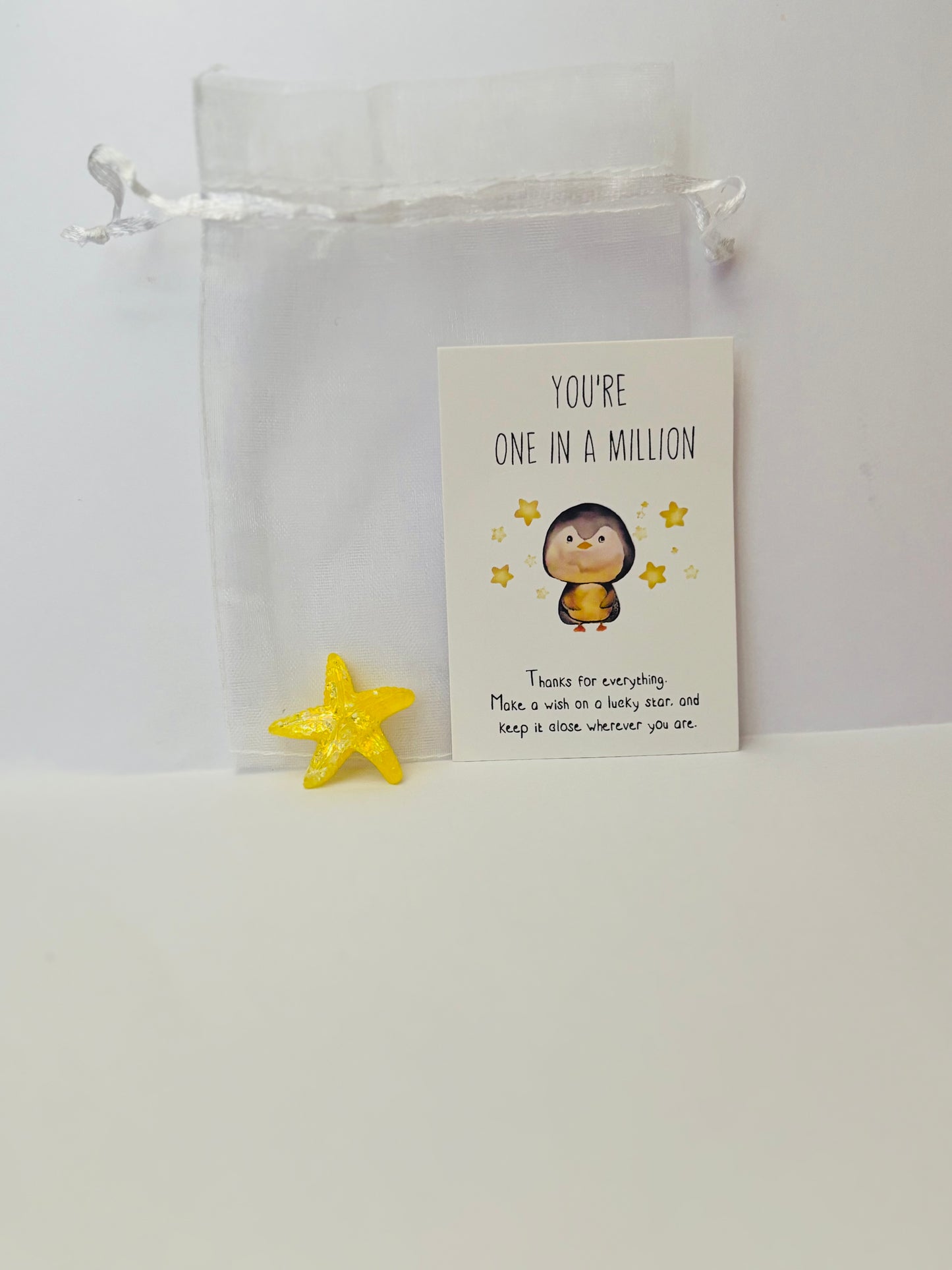 Inspirational Animal Pocket Favours — cute mini animal charms with uplifting message cards in organza bags, perfect for gifts, school rewards, or kindness tokens