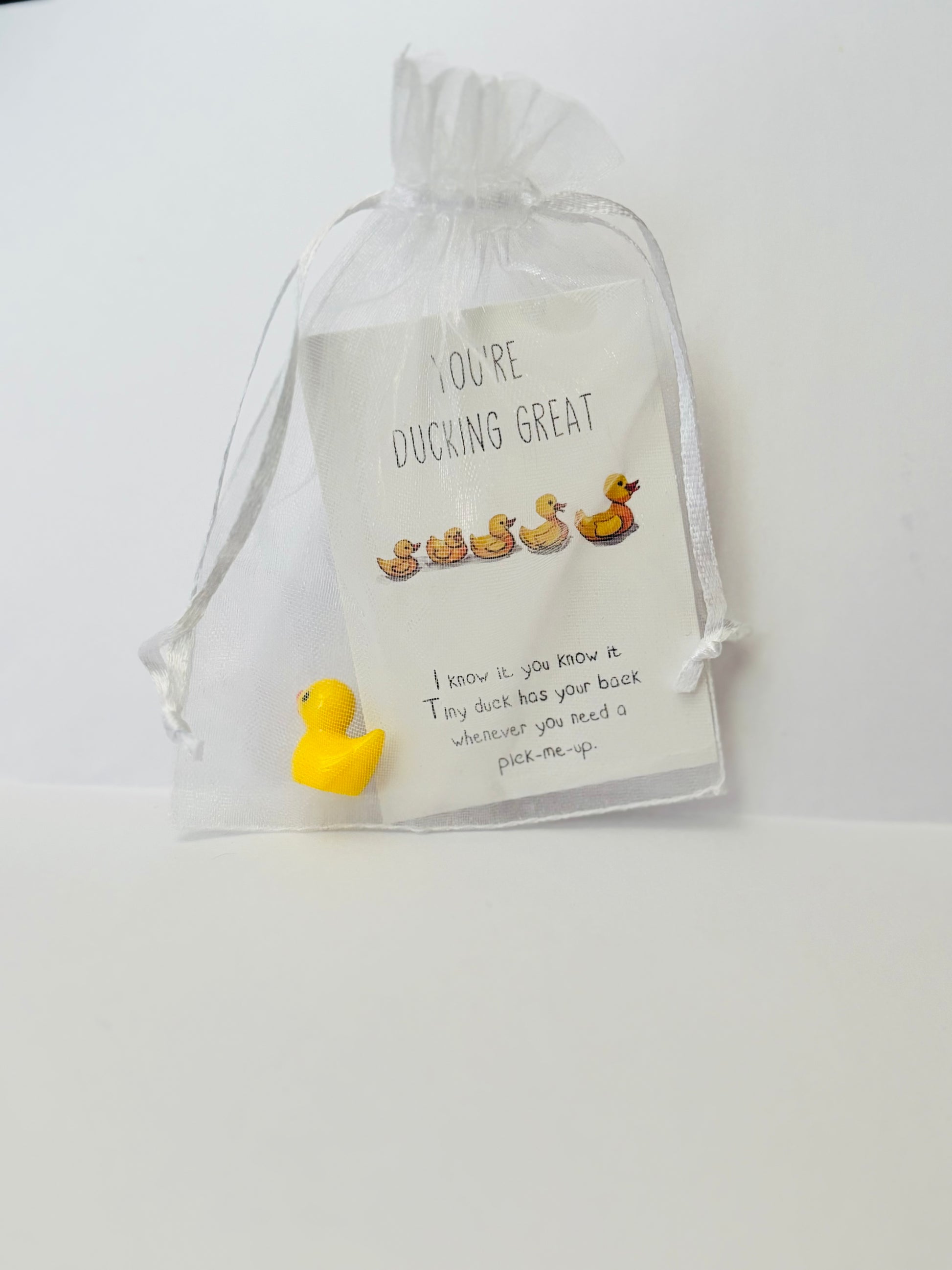 Inspirational Animal Pocket Favours — cute mini animal charms with uplifting message cards in organza bags, perfect for gifts, school rewards, or kindness tokens