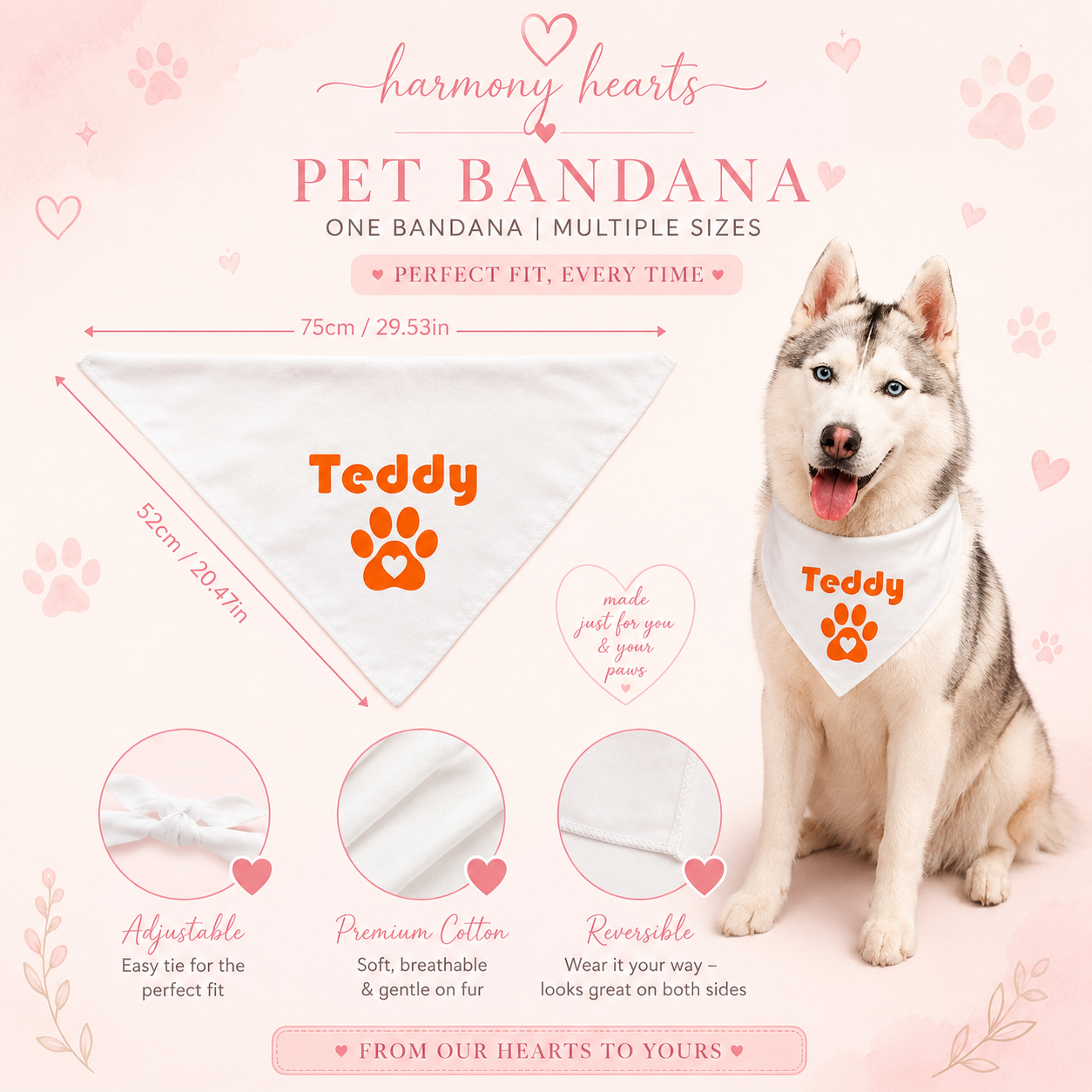 A promotional graphic for a pet bandana. On the left, a white triangular bandana labeled 'Teddy' with an orange paw print is shown with measurement callouts.
