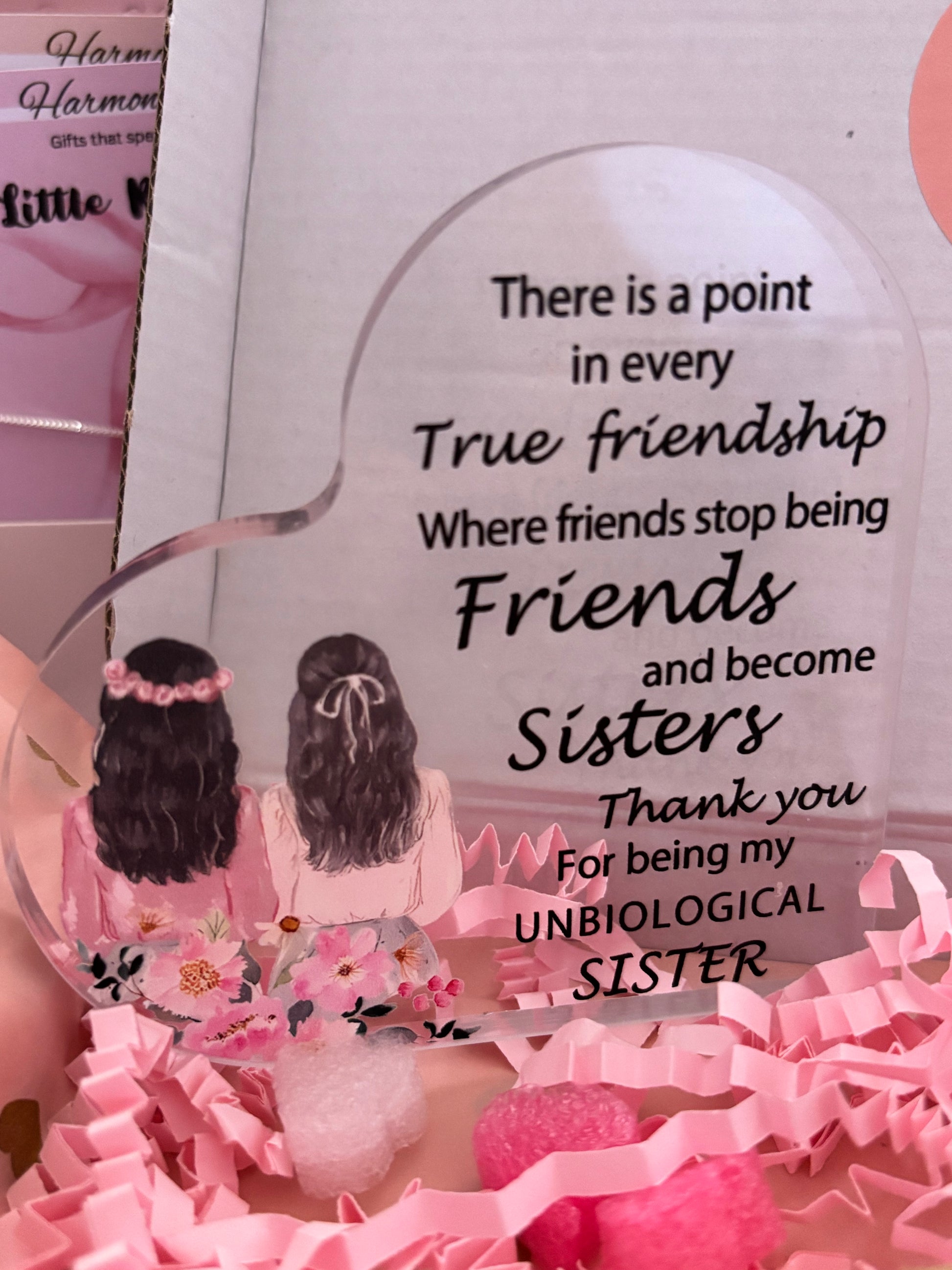 Gift box with two women and a quote about friendship and unbiological sisters on a pink background.