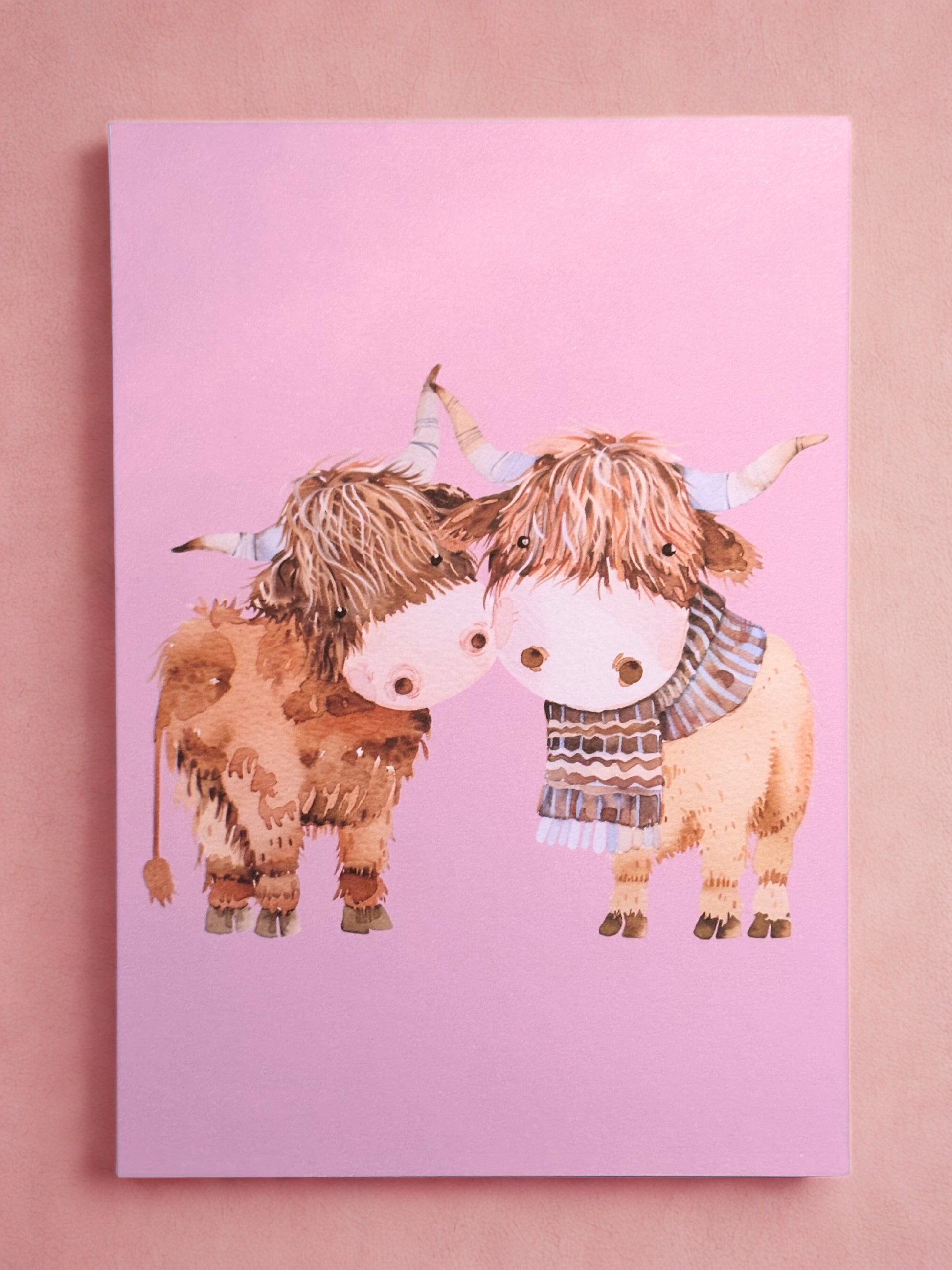 Two cartoon highland cows on a pink card with a pink background
