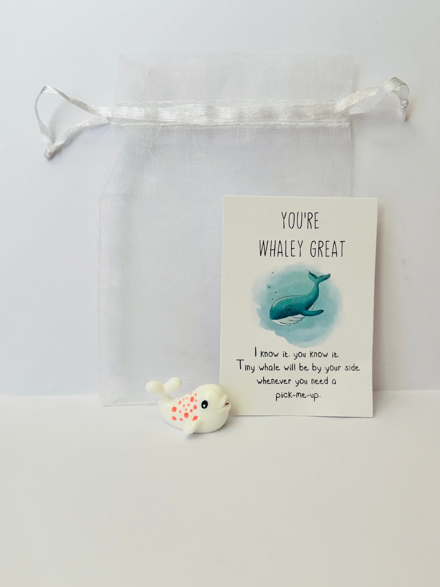 Inspirational Animal Pocket Favours — cute mini animal charms with uplifting message cards in organza bags, perfect for gifts, school rewards, or kindness tokens