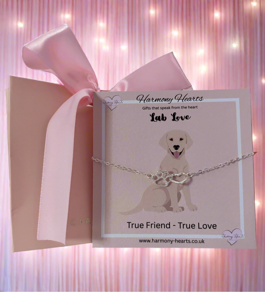 Labrador-themed bracelet in a gift box with 'Harmony Hearts' branding.