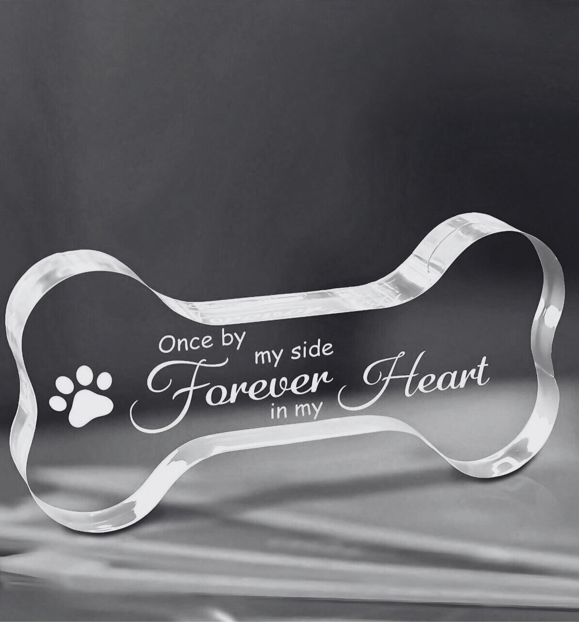 Clear acrylic dog bone-shaped plaque with engraved text and paw print on a dark background