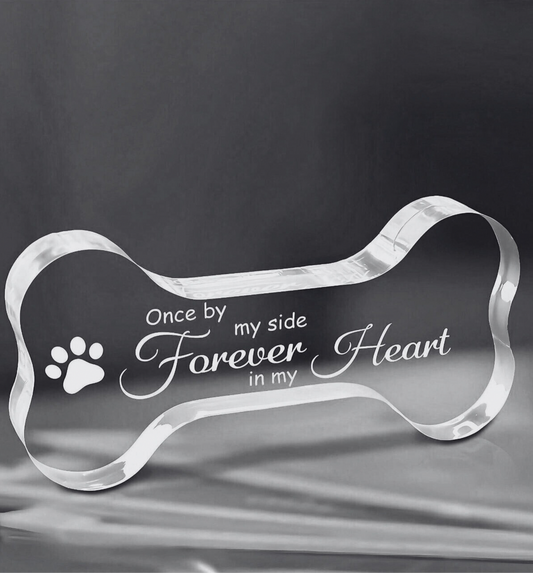 Clear acrylic dog bone-shaped plaque with engraved text and paw print on a dark background