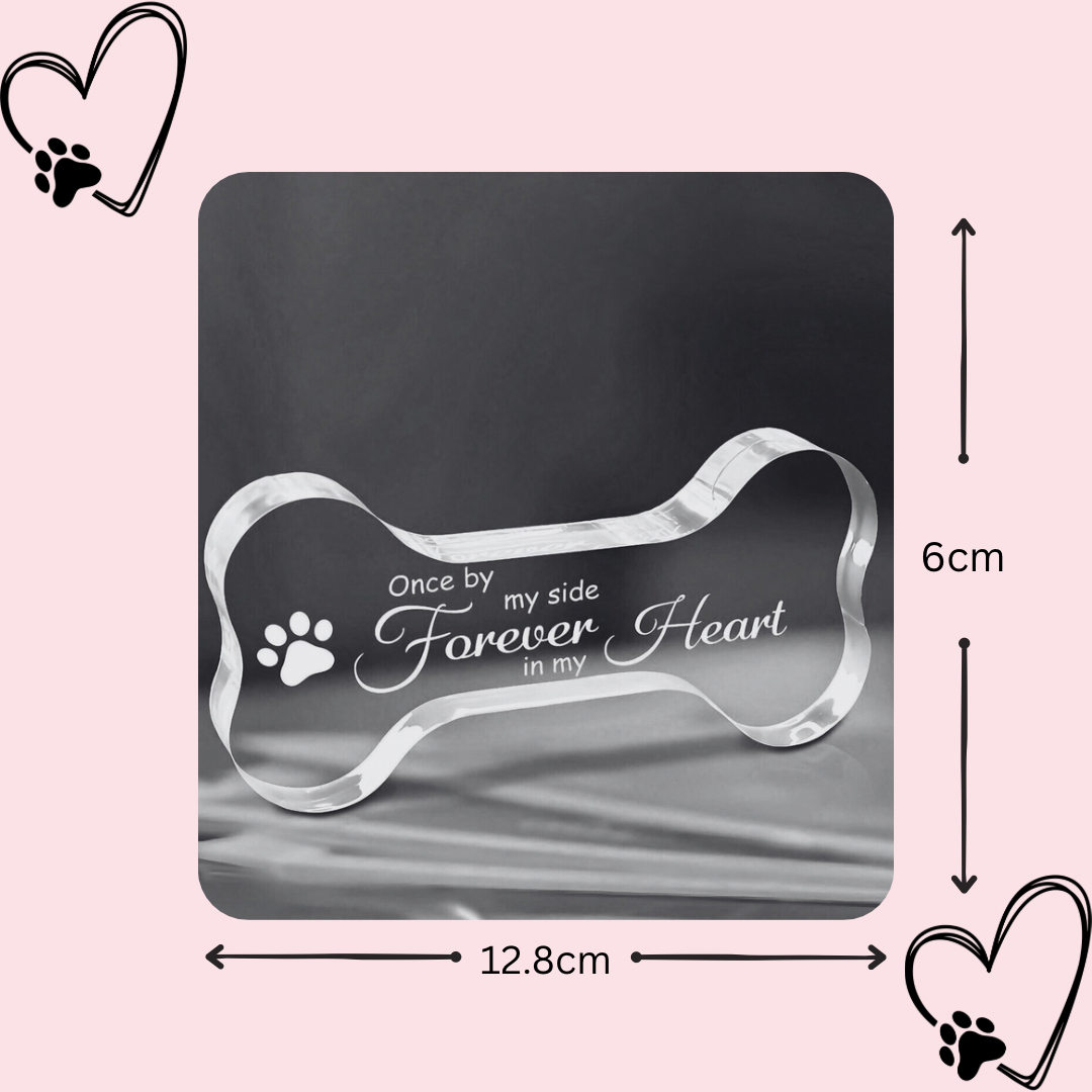 Dog bone-shaped plaque with engraved text 