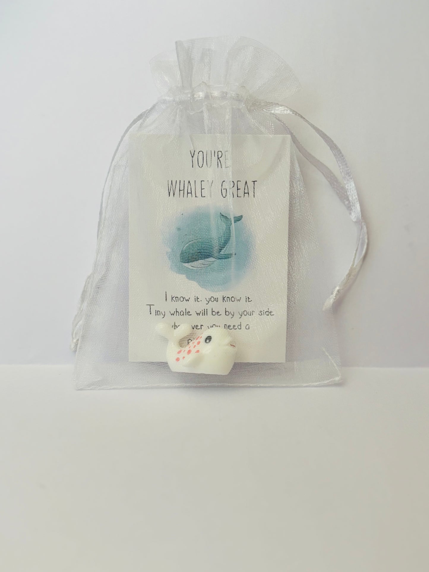 Inspirational Animal Pocket Favours — cute mini animal charms with uplifting message cards in organza bags, perfect for gifts, school rewards, or kindness tokens